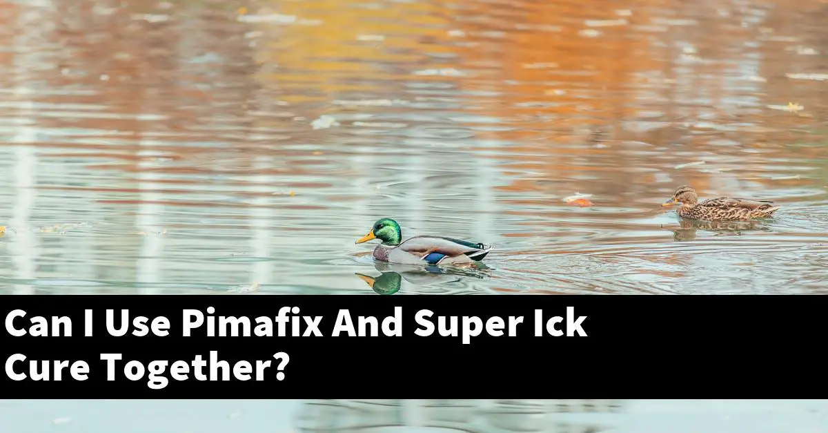Can I Use Pimafix And Super Ick Cure Together?