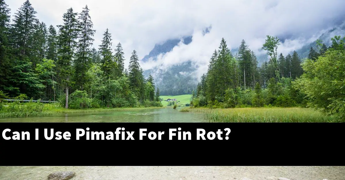Can I Use Pimafix For Fin Rot?
