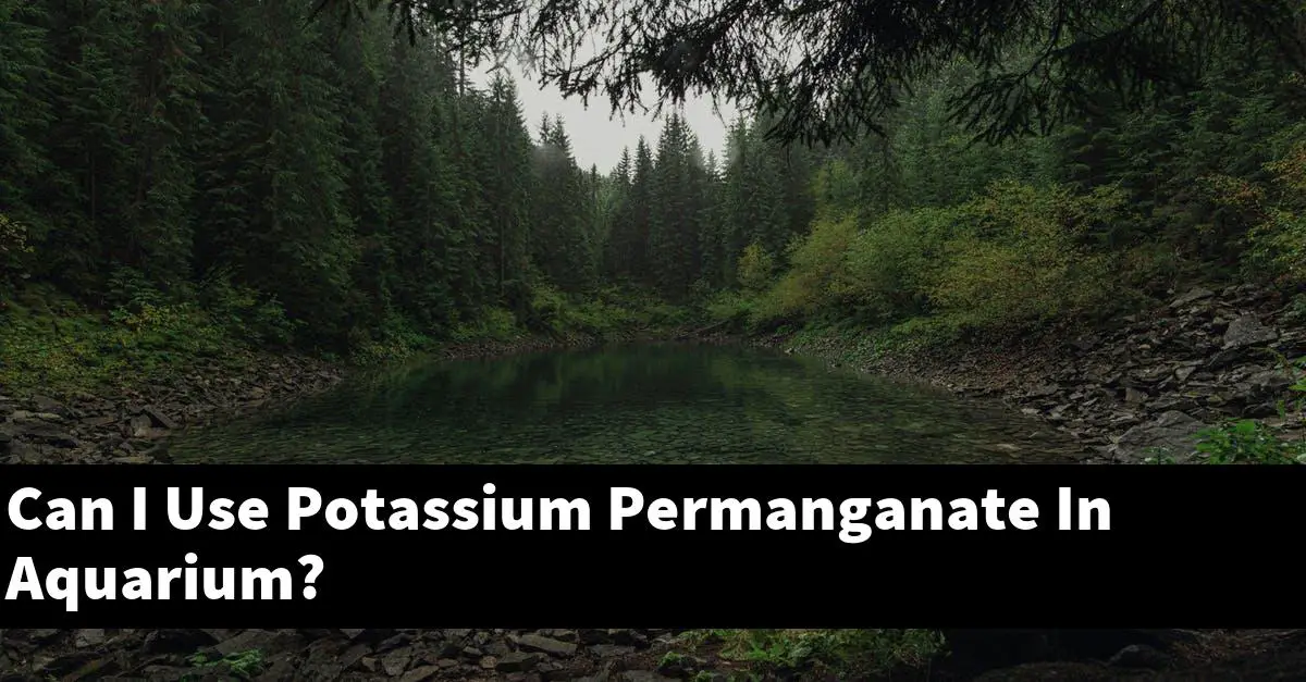 Can I Use Potassium Permanganate In Aquarium?