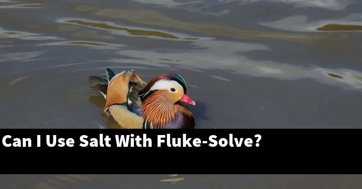 Can I Use Salt With Fluke-Solve?