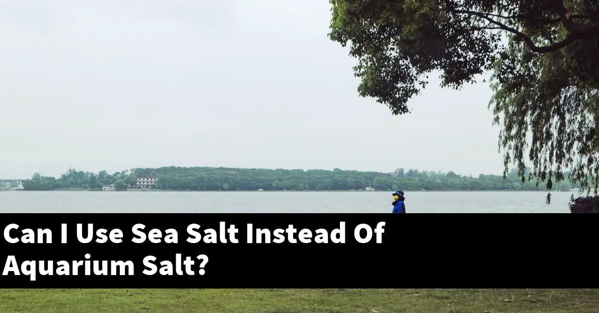 Can I Use Sea Salt Instead Of Aquarium Salt?
