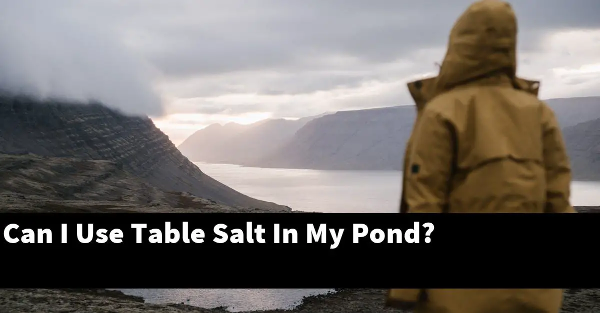 Can I Use Table Salt In My Pond?