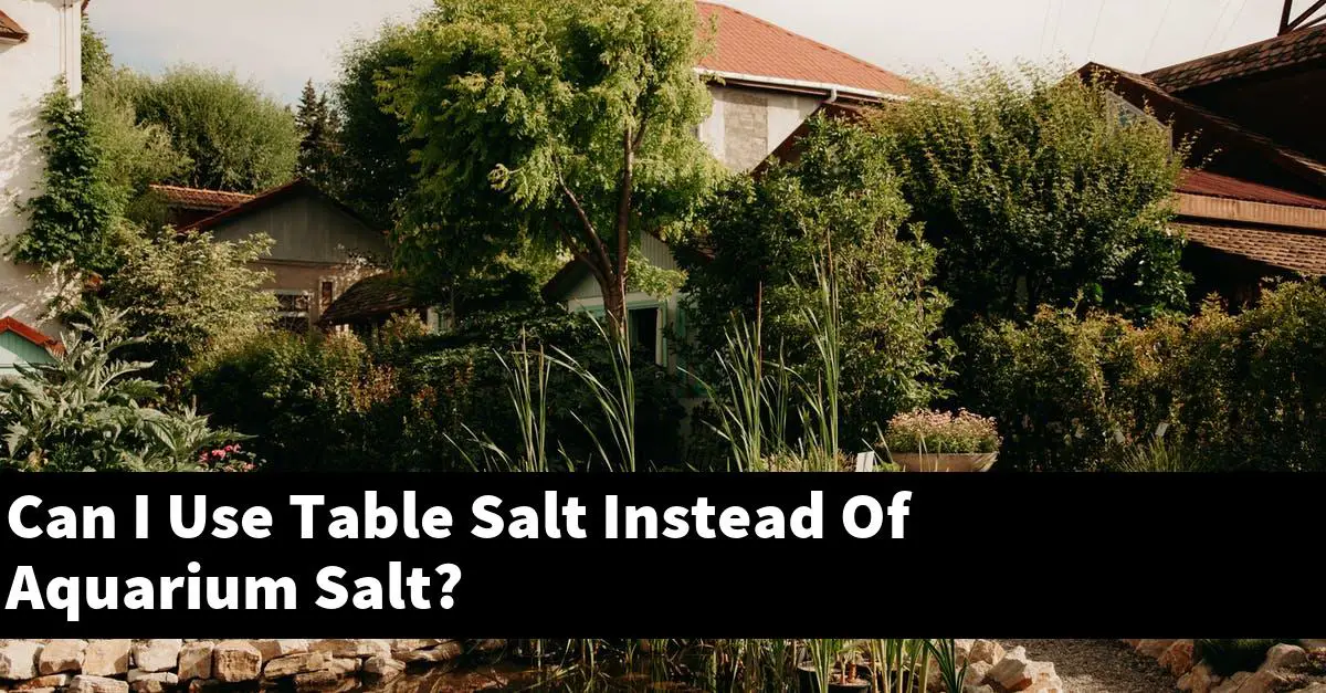 Can I Use Table Salt Instead Of Aquarium Salt?