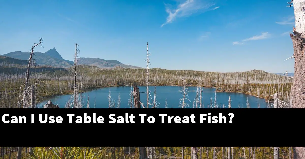 Can I Use Table Salt To Treat Fish?