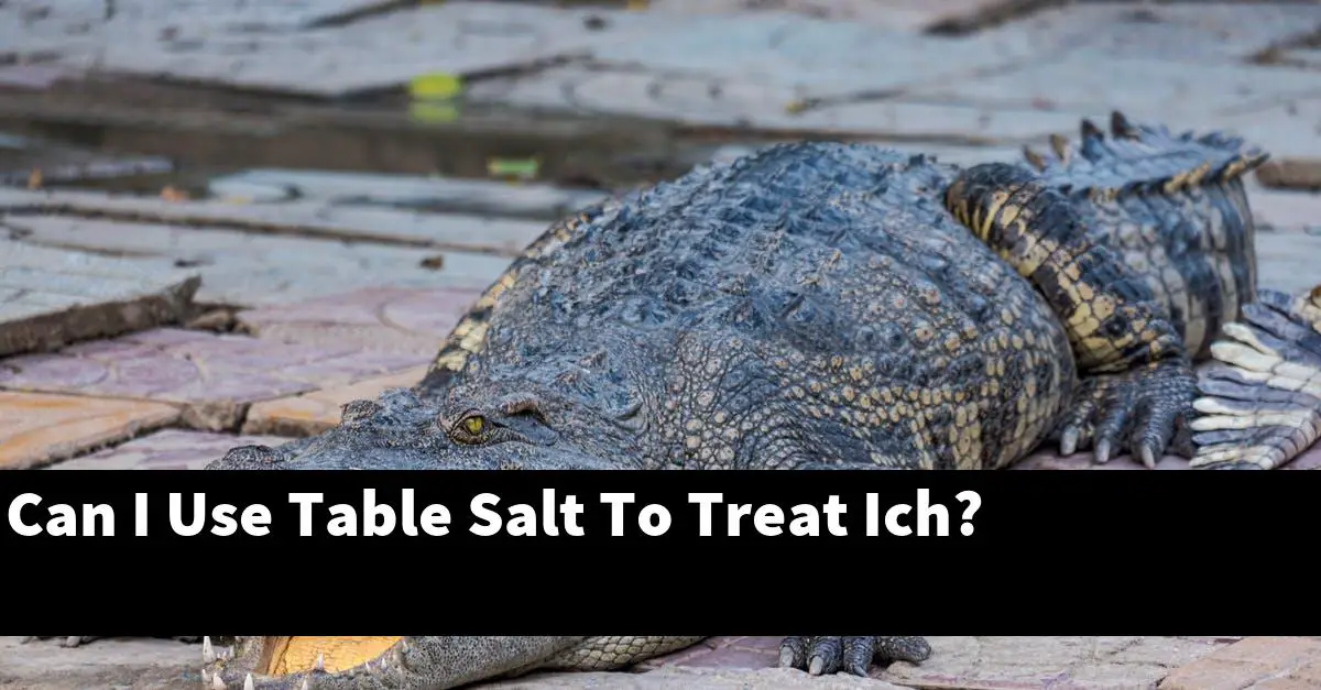 Can I Use Table Salt To Treat Ich?