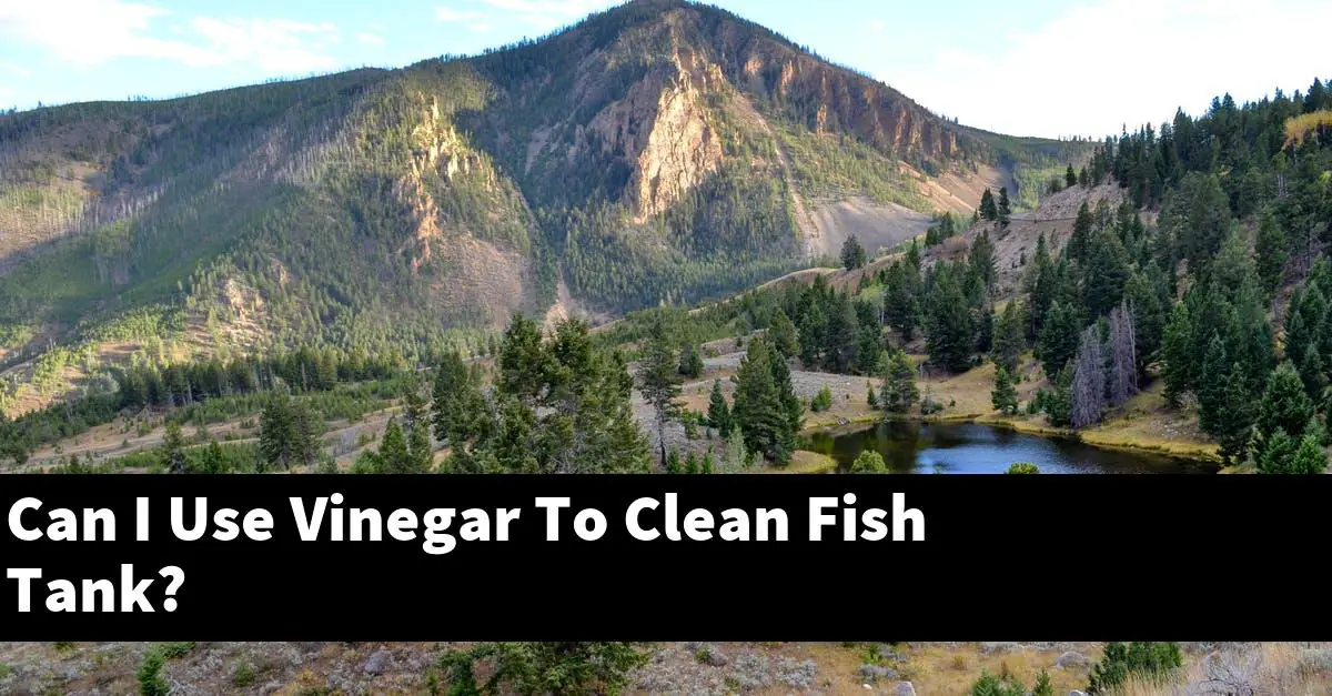 Can I Use Vinegar To Clean Fish Tank?