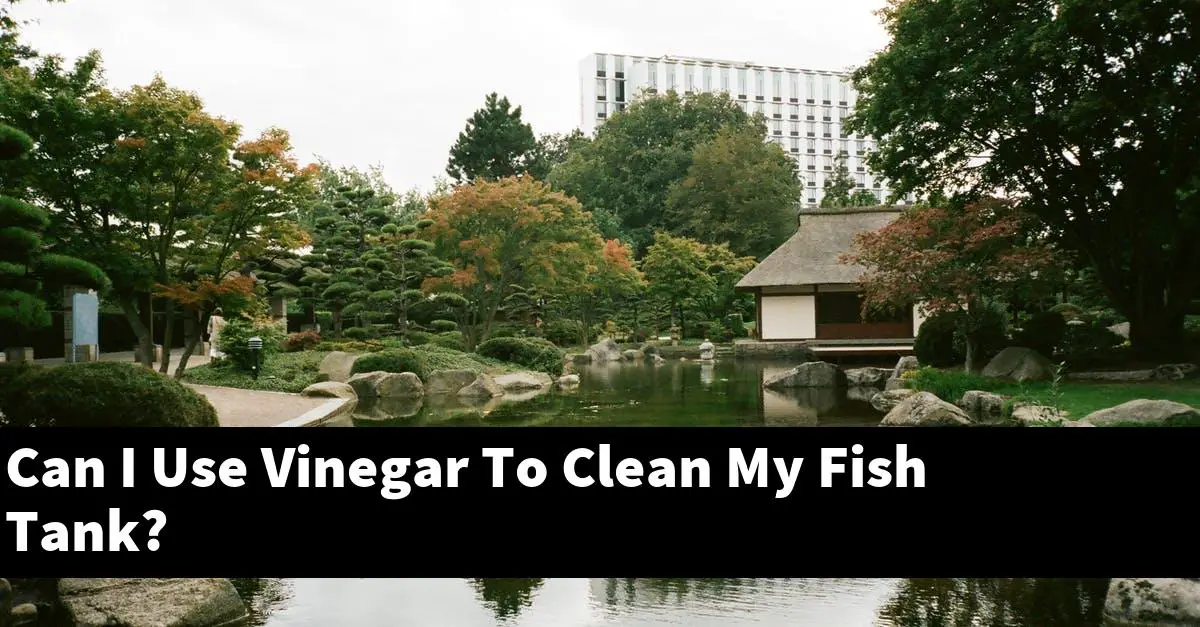 Can I Use Vinegar To Clean My Fish Tank?