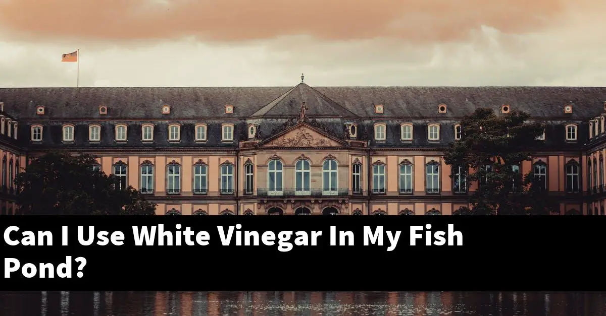 Can I Use White Vinegar In My Fish Pond?