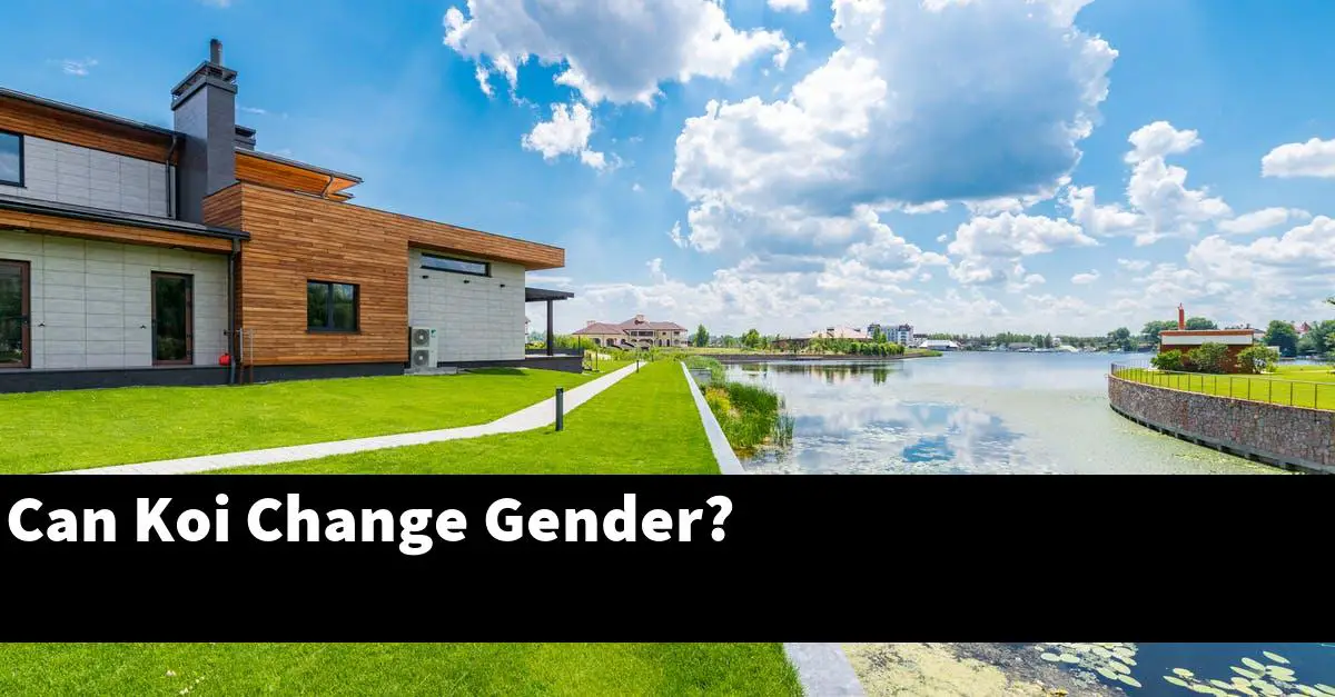 Can Koi Change Gender?