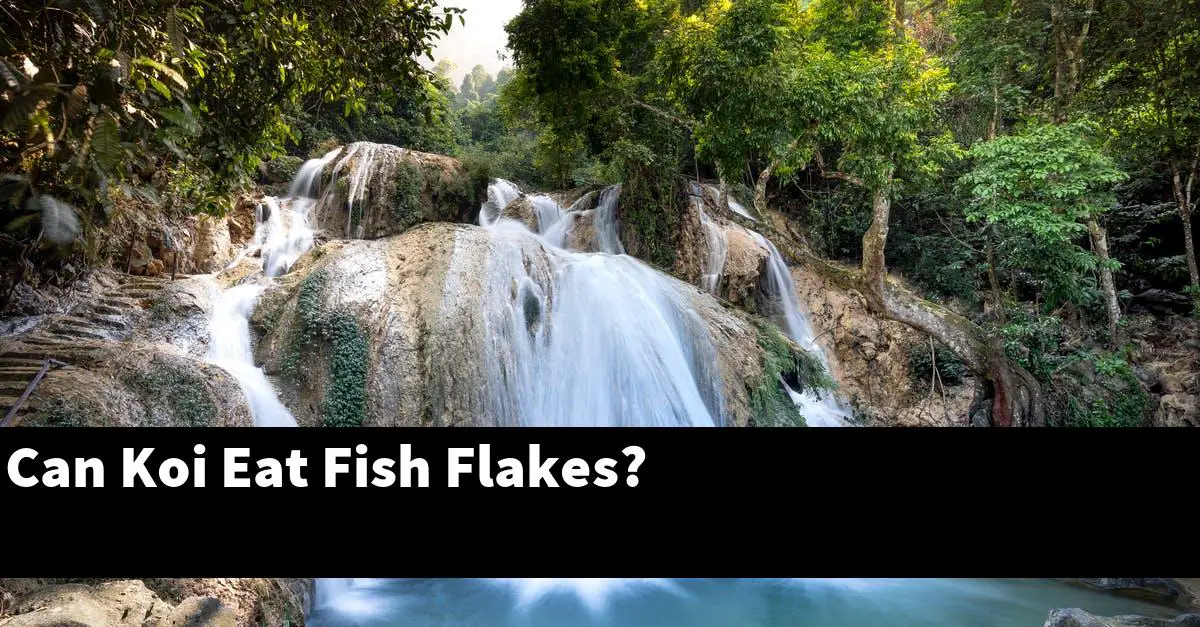 Can Koi Eat Fish Flakes?