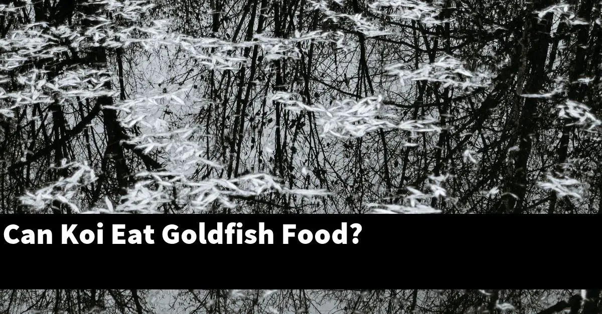 Can Koi Eat Goldfish Food?