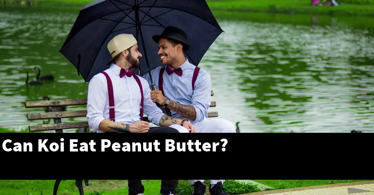 Can Koi Eat Peanut Butter?