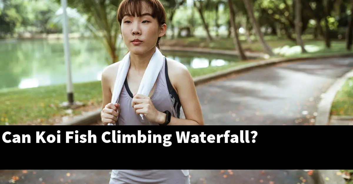 Can Koi Fish Climbing Waterfall?