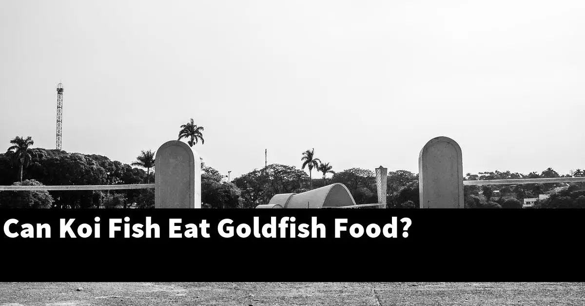 Can Koi Fish Eat Goldfish Food?