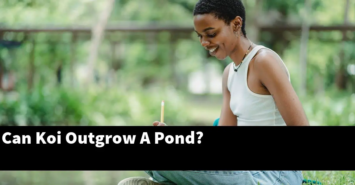 Can Koi Outgrow A Pond?