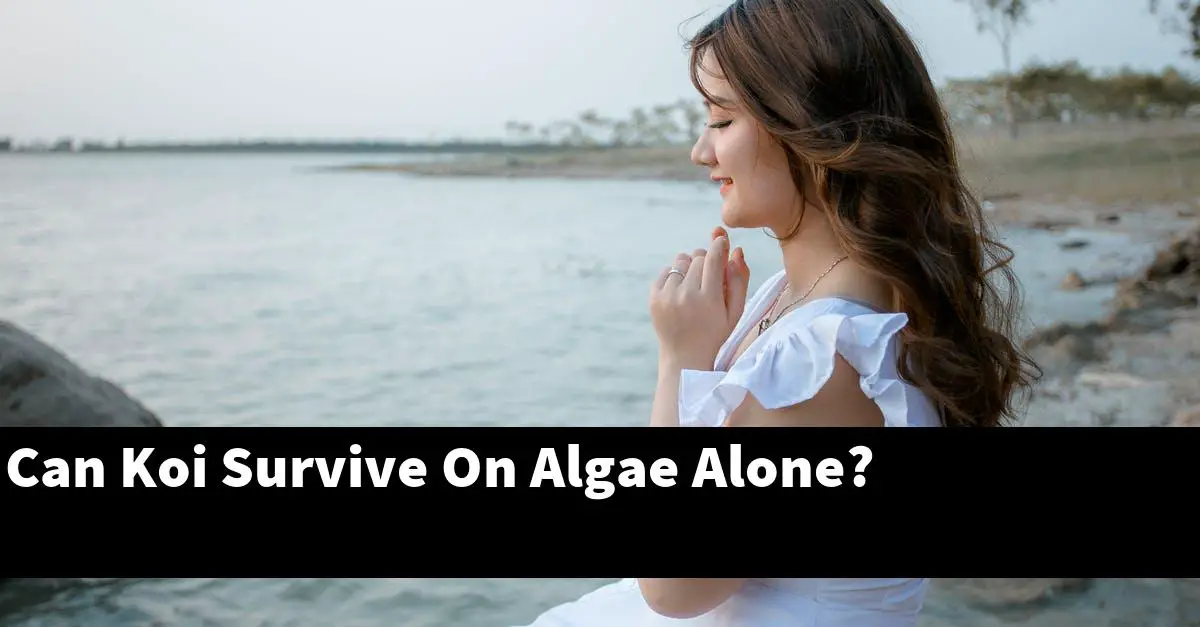 Can Koi Survive On Algae Alone?