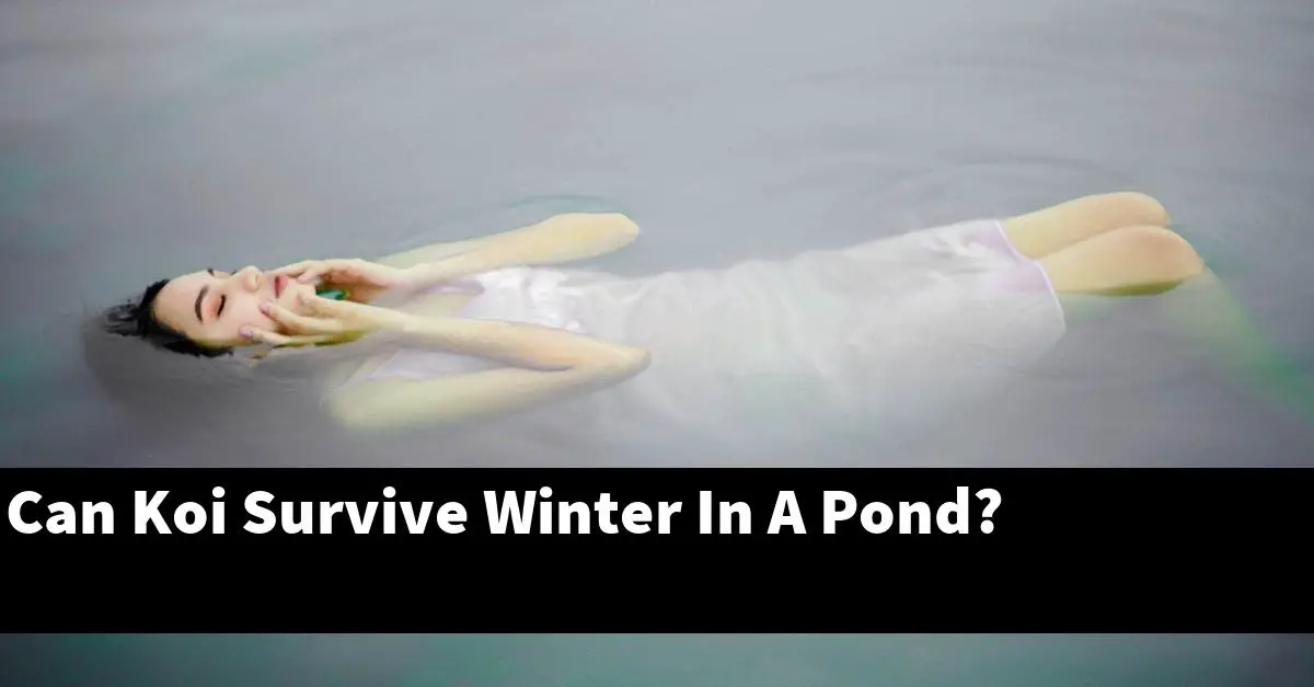 Can Koi Survive Winter In A Pond?
