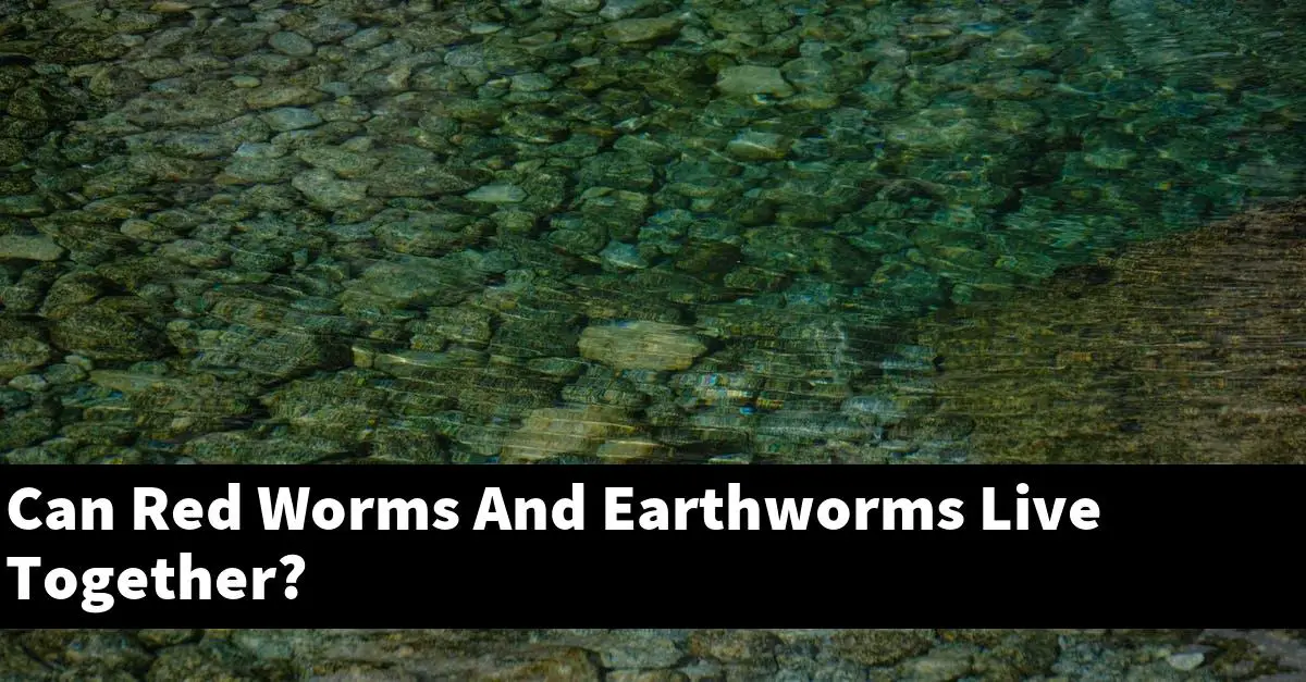 Can Red Worms And Earthworms Live Together?