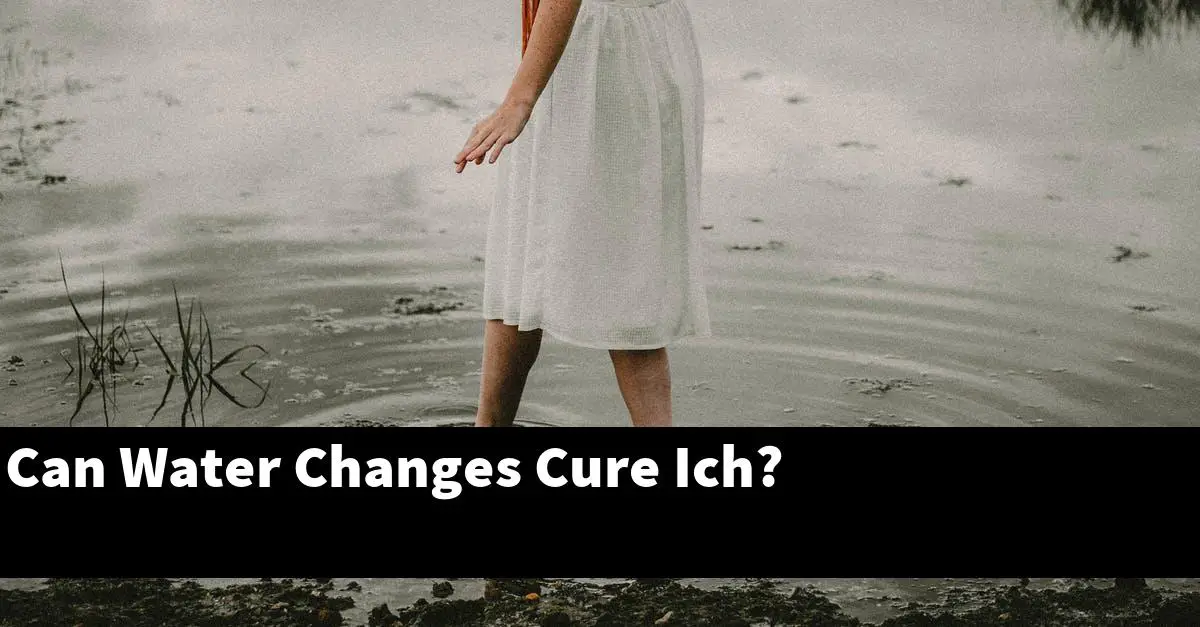 Can Water Changes Cure Ich?