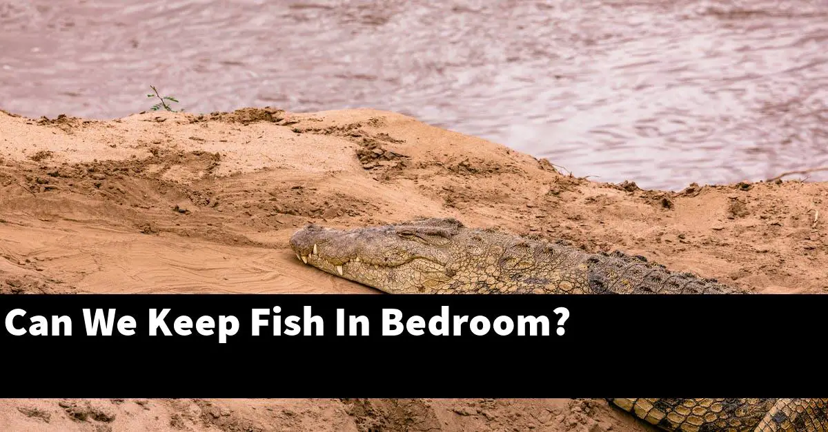 Can We Keep Fish In Bedroom?