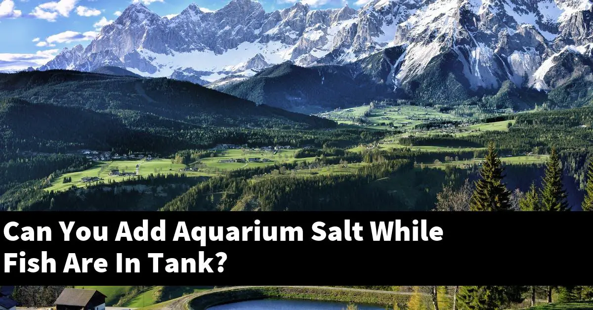 Can You Add Aquarium Salt While Fish Are In Tank?