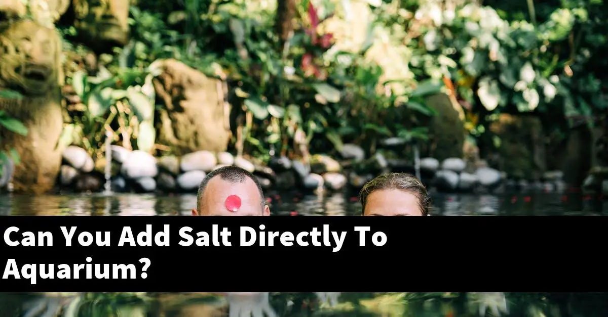 Can You Add Salt Directly To Aquarium?