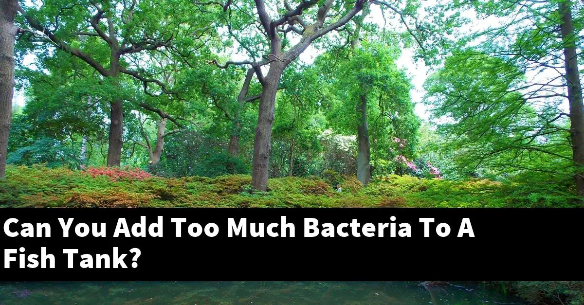 Can You Add Too Much Bacteria To A Fish Tank?