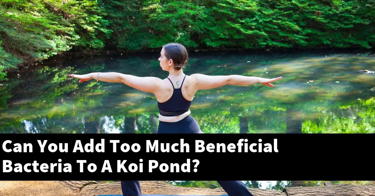 Can You Add Too Much Beneficial Bacteria To A Koi Pond?