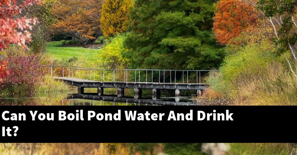 Can You Boil Pond Water And Drink It?