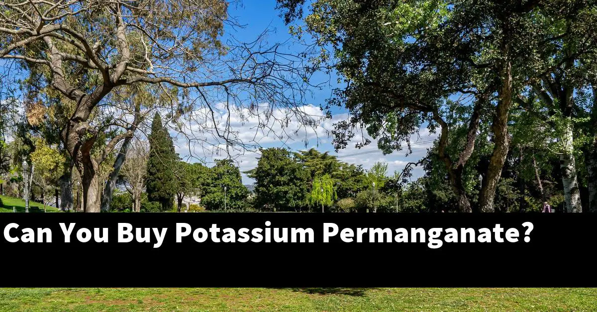 Can You Buy Potassium Permanganate?