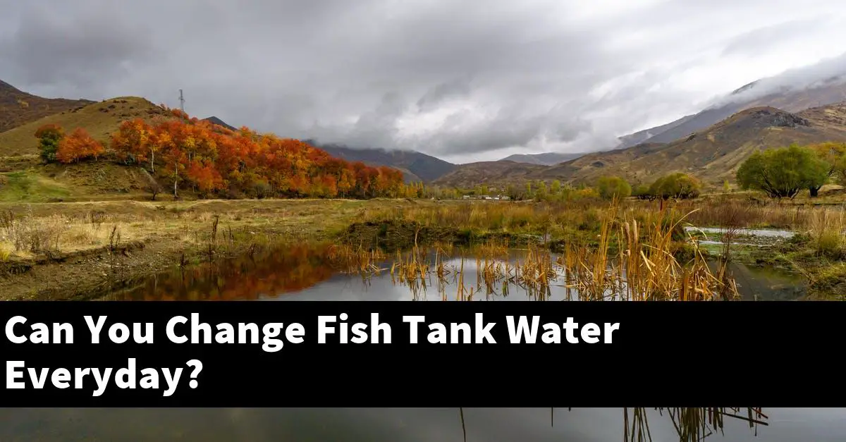 Can You Change Fish Tank Water Everyday?