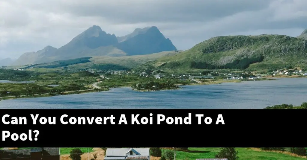 Can You Convert A Koi Pond To A Pool? [2024 Guide] Gold Koi Fish