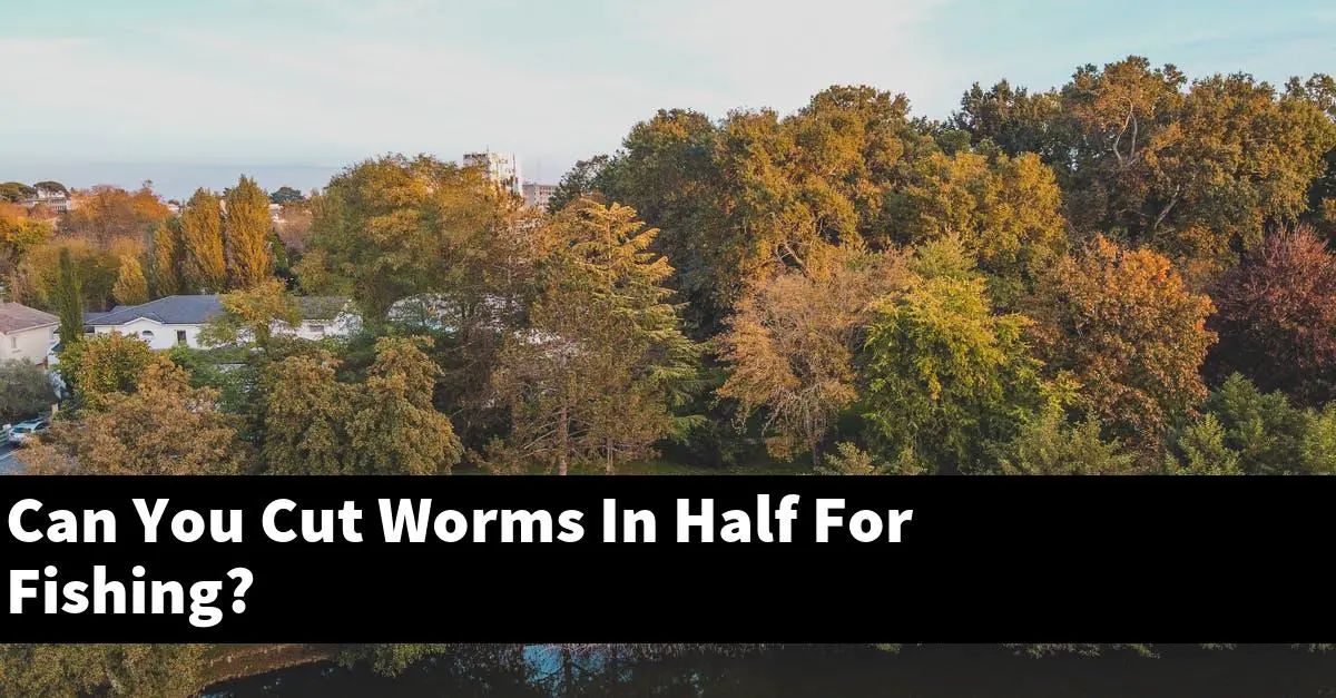 Can You Cut Worms In Half For Fishing?