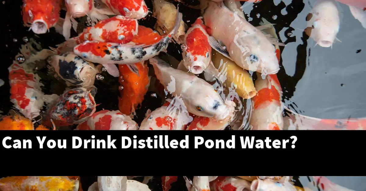 Can You Drink Distilled Pond Water?