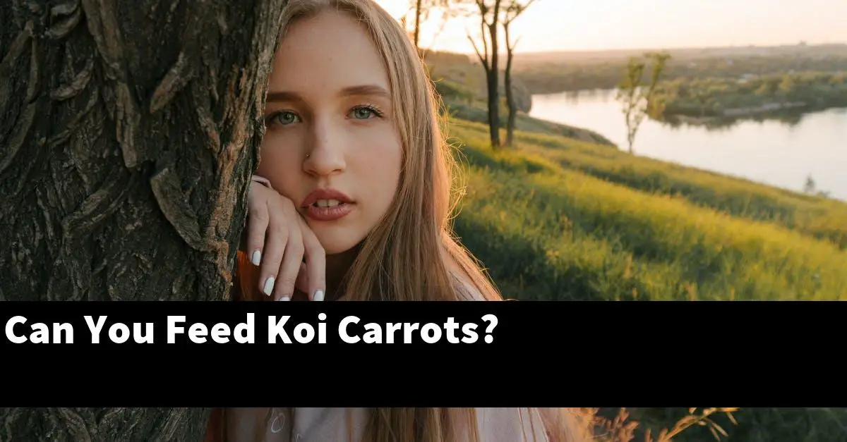 Can You Feed Koi Carrots?
