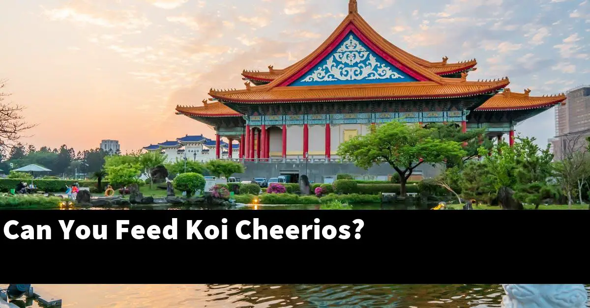 Can You Feed Koi Cheerios?