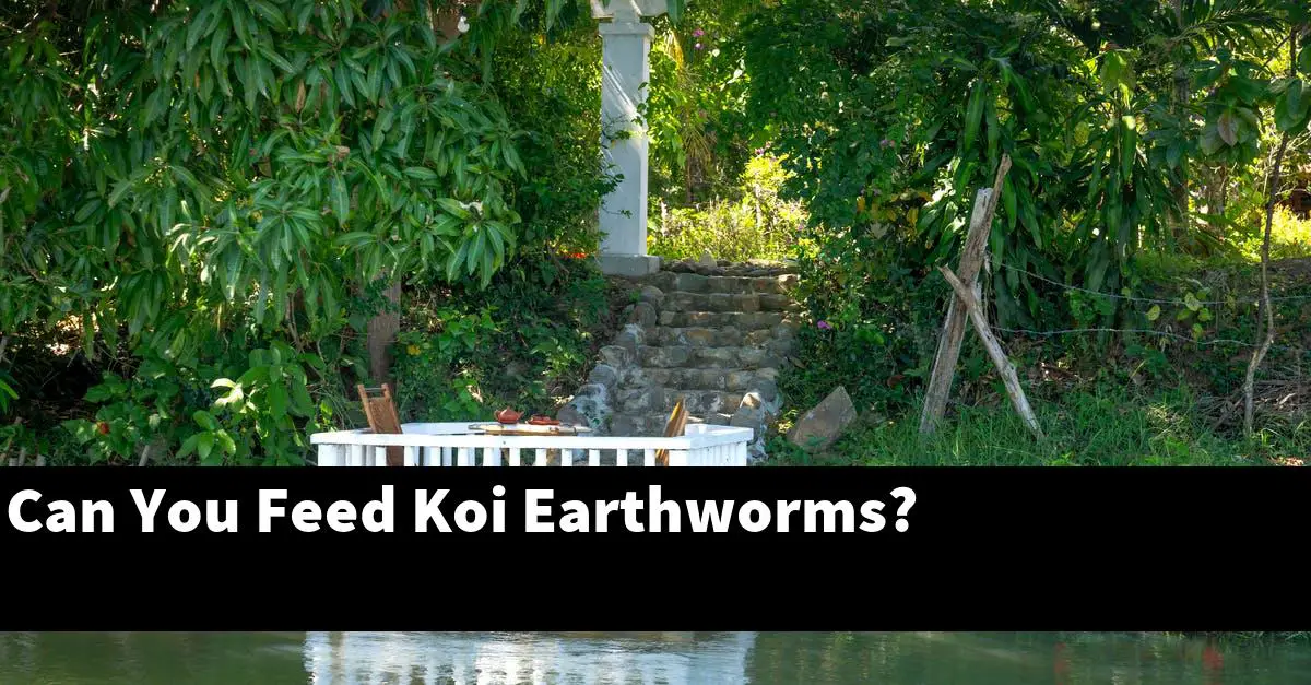 Can You Feed Koi Earthworms?