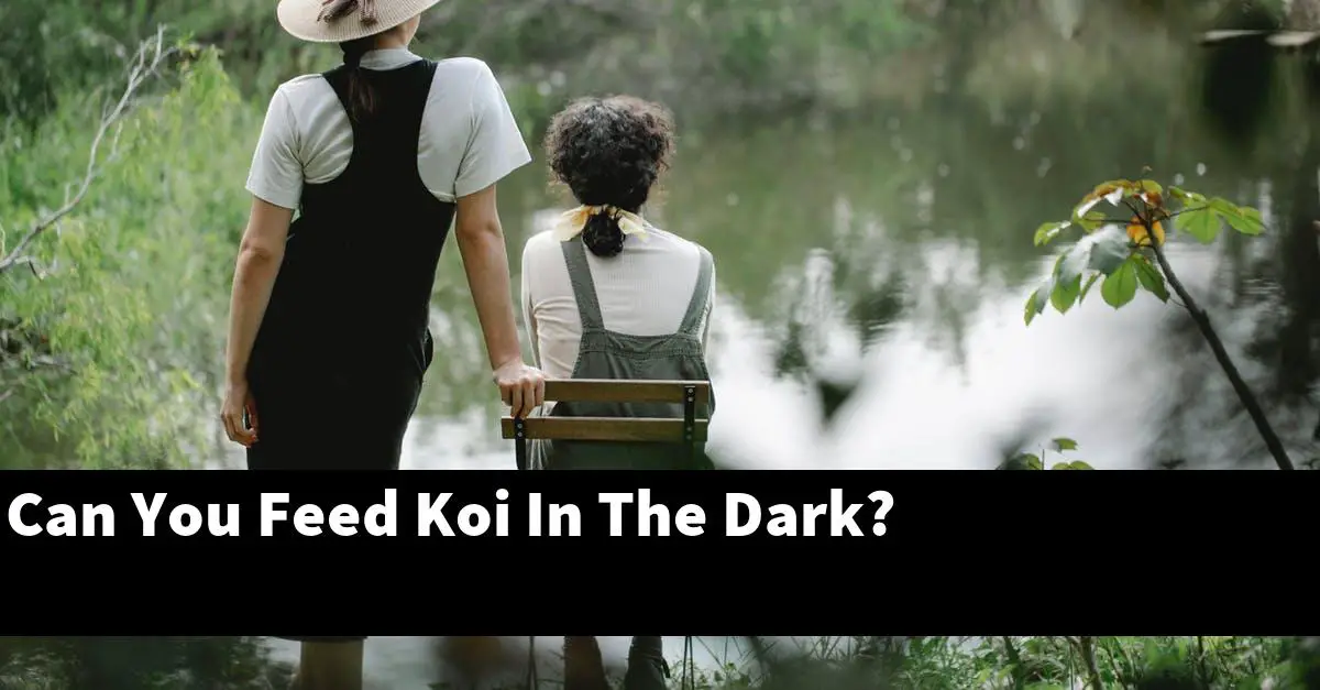 Can You Feed Koi In The Dark?