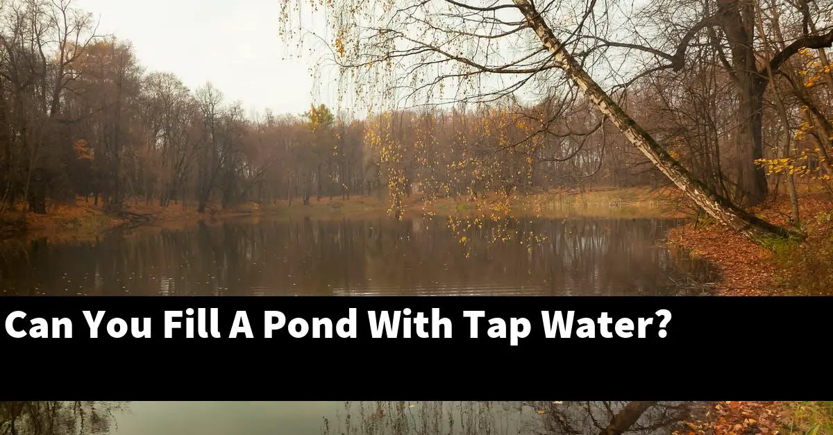 Can You Fill A Pond With Tap Water?