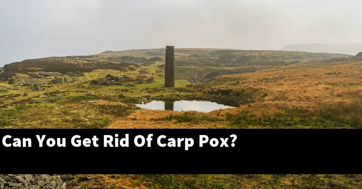 Can You Get Rid Of Carp Pox?