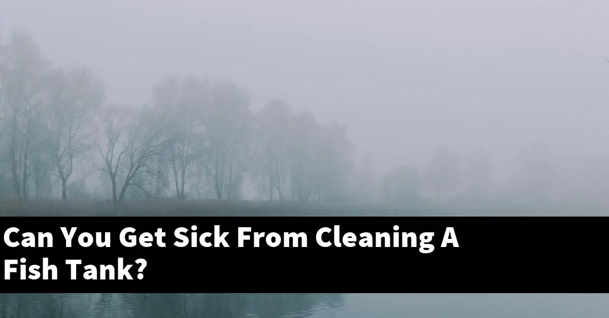 Can You Get Sick From Cleaning A Fish Tank?