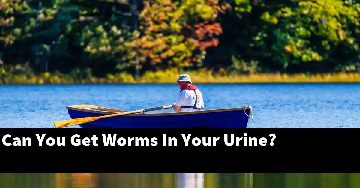 Can You Get Worms In Your Urine?