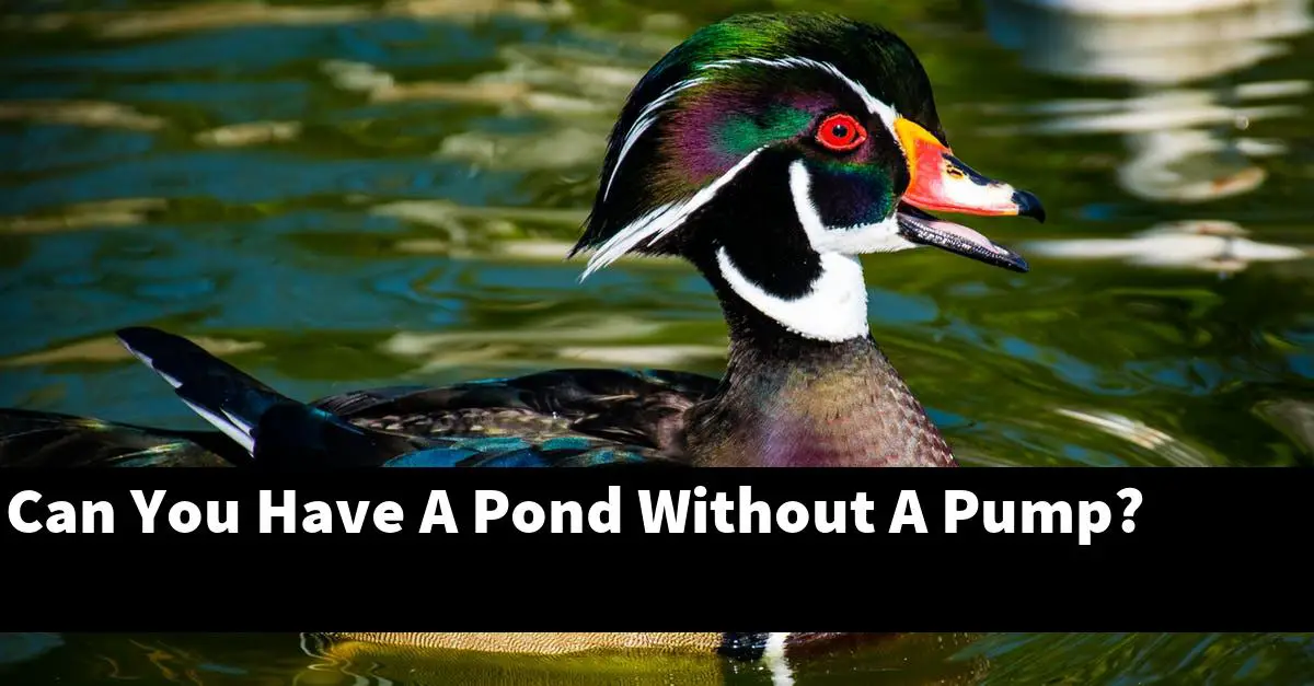 Can You Have A Pond Without A Pump?