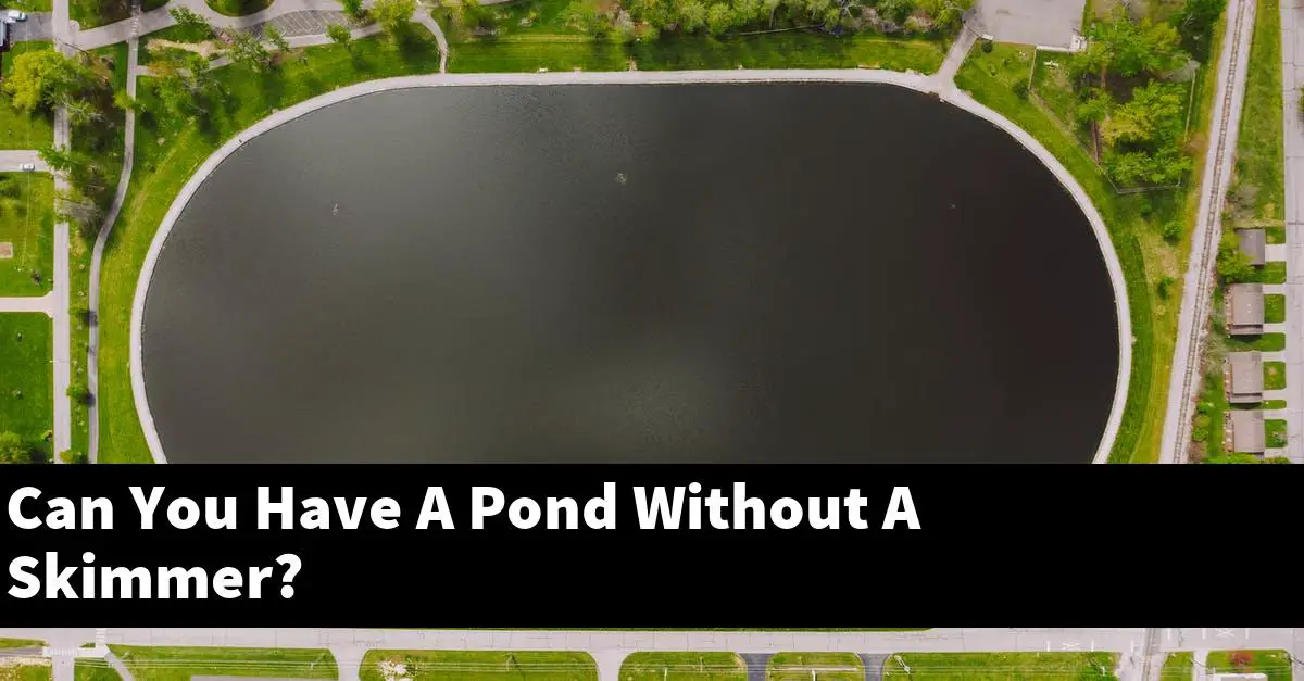 Can You Have A Pond Without A Skimmer?