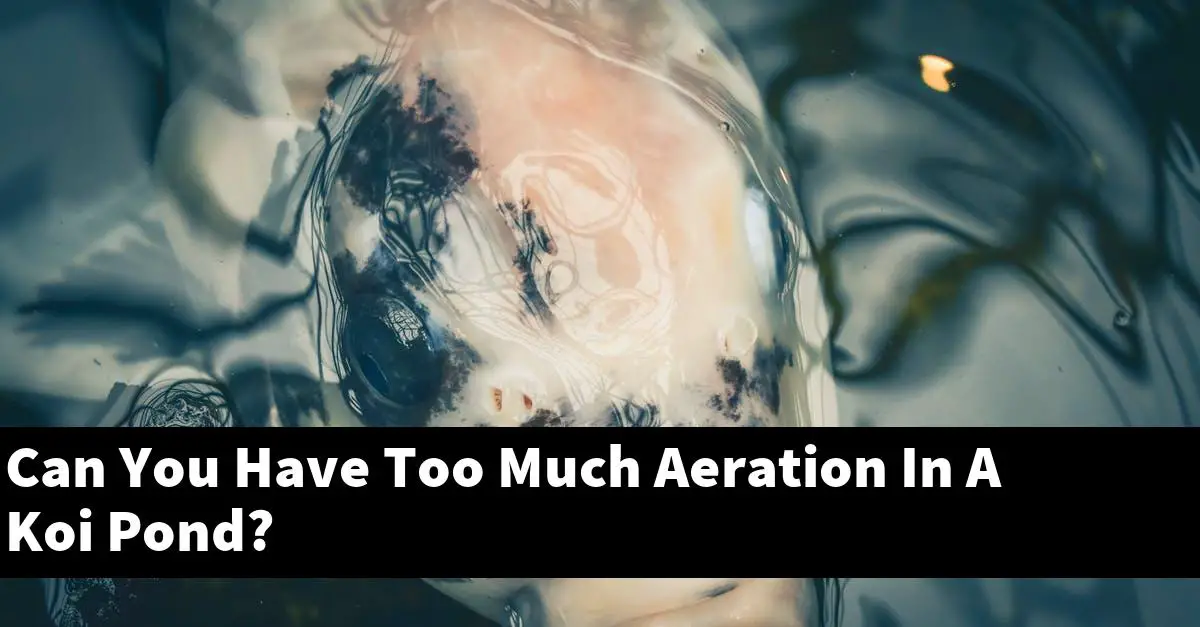 Can You Have Too Much Aeration In A Koi Pond?