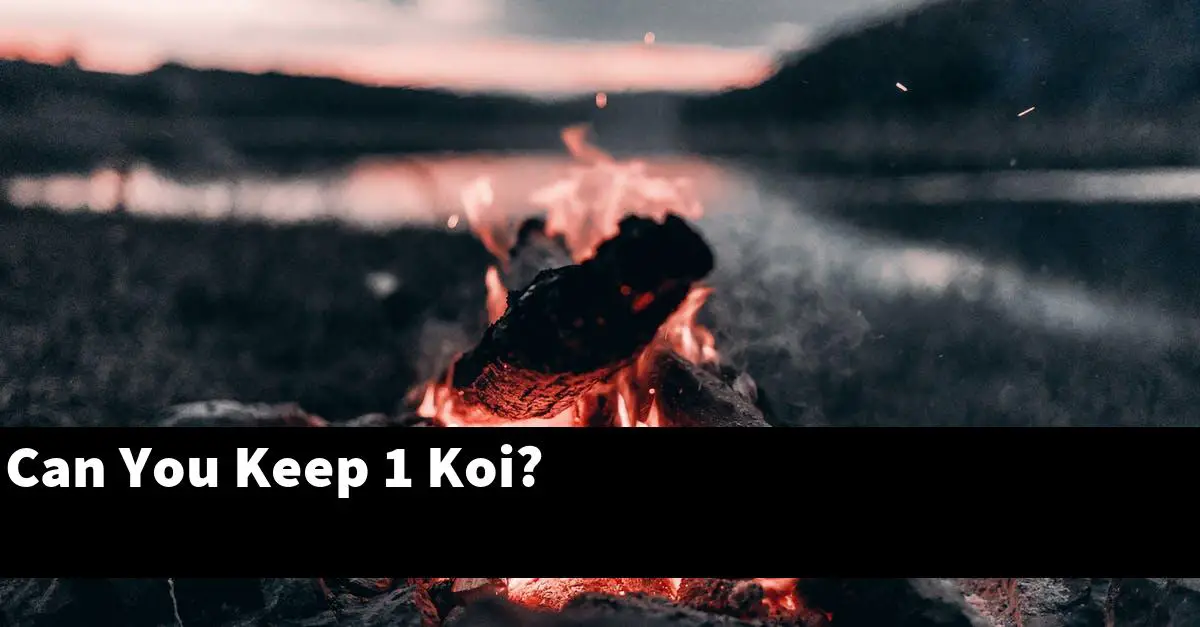Can You Keep 1 Koi?