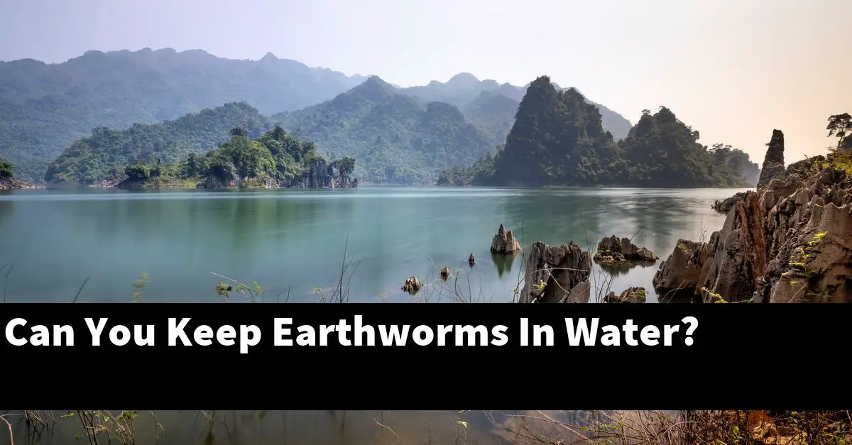 Can You Keep Earthworms In Water?