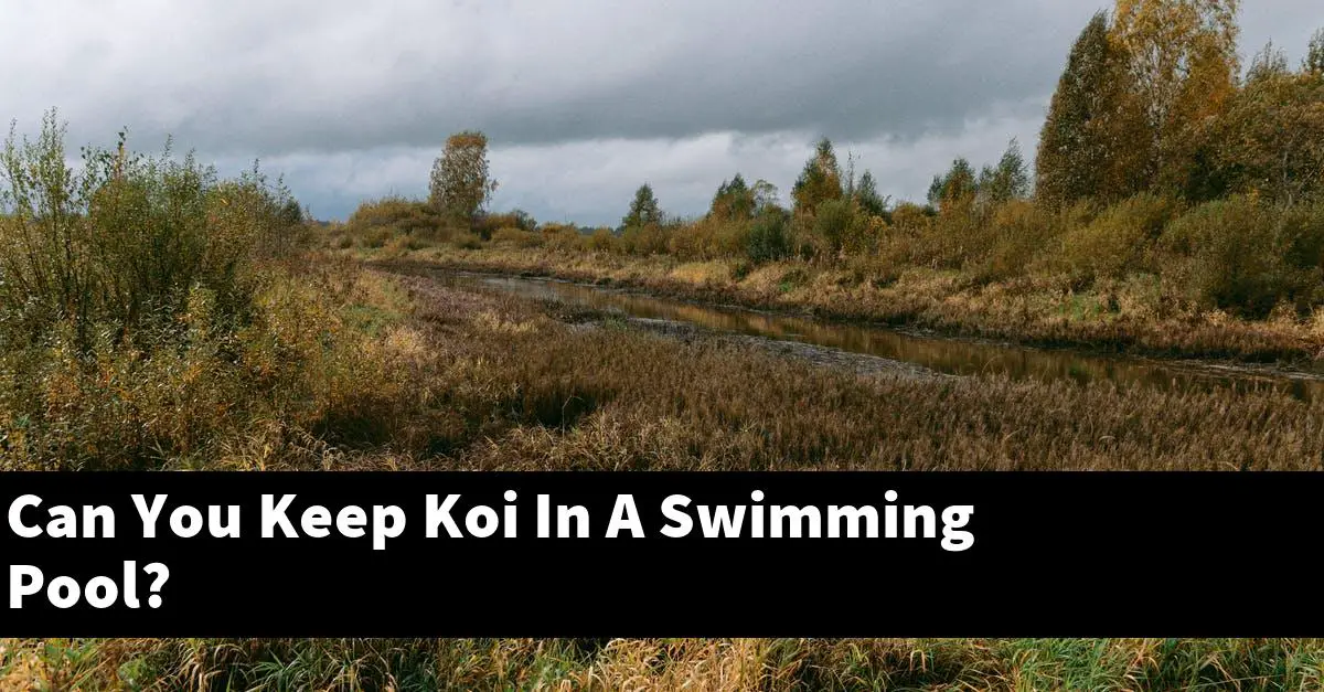 Can You Keep Koi In A Swimming Pool?