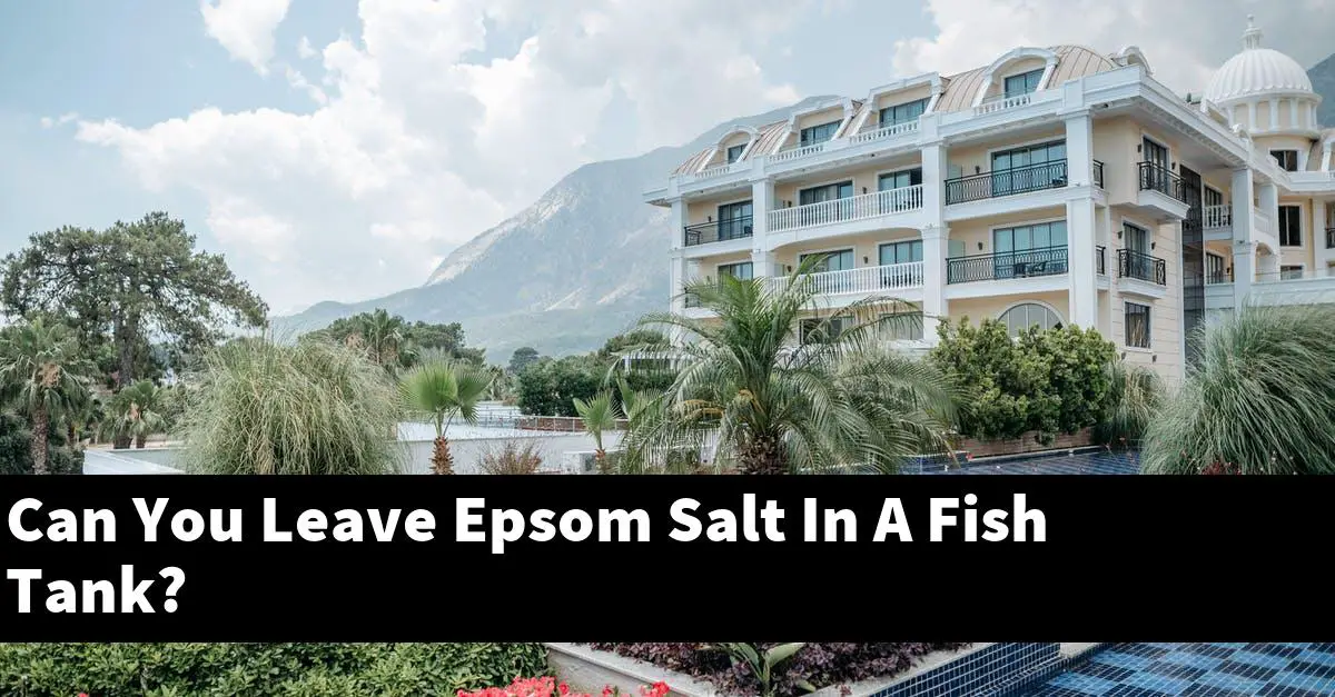 Can You Leave Epsom Salt In A Fish Tank?