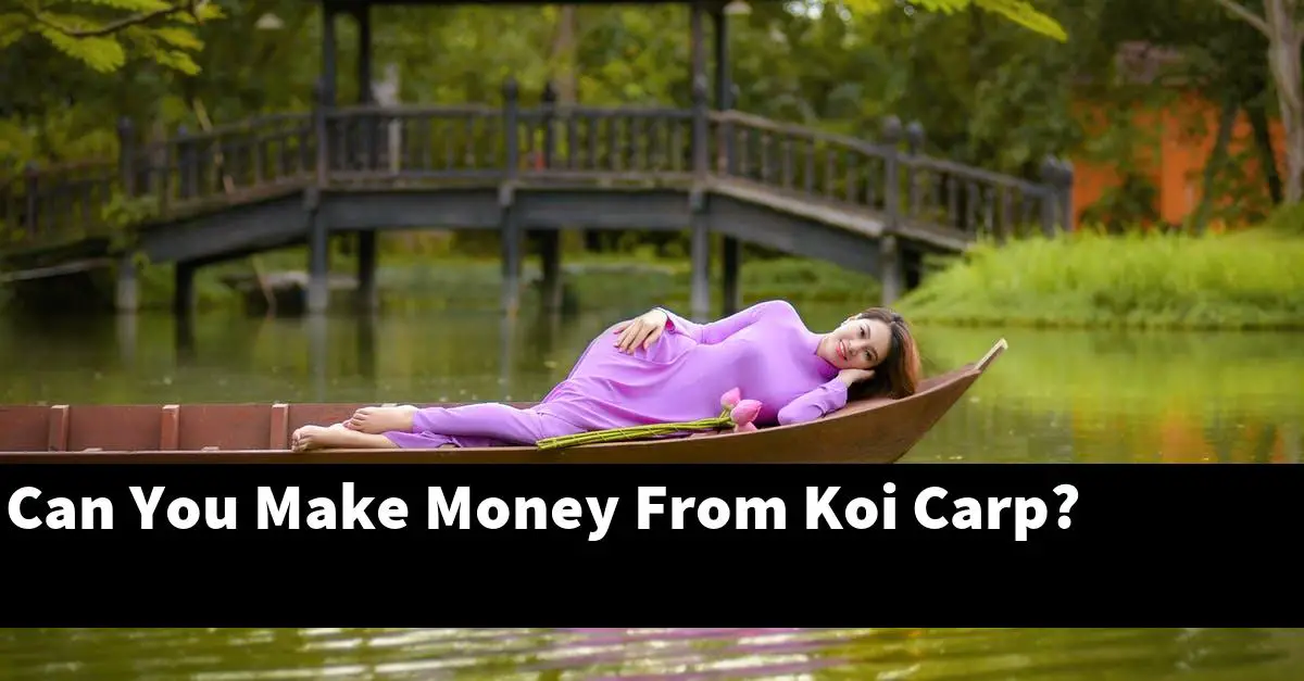 Can You Make Money From Koi Carp?